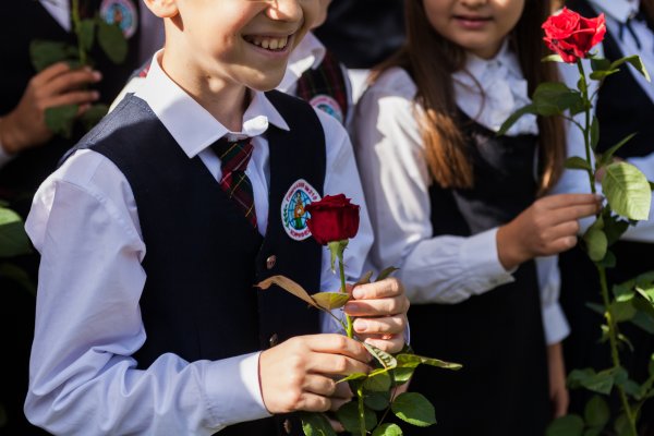 Первоклассник с розами