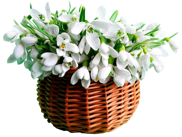 Красивый Солнечный букет весенний
