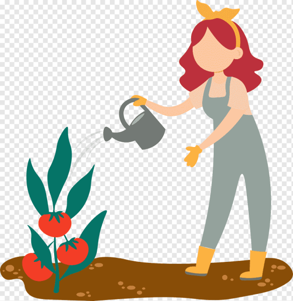 Цветовод рисунок