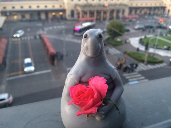 Ждун с цветами