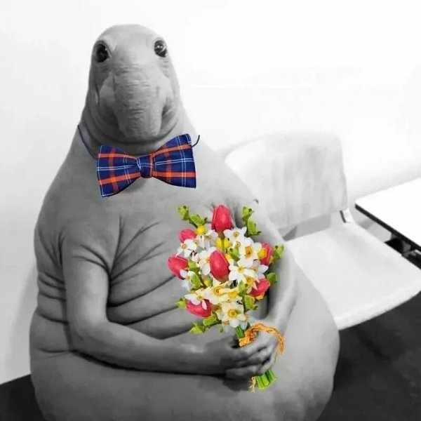 Ждун Мона Лиза