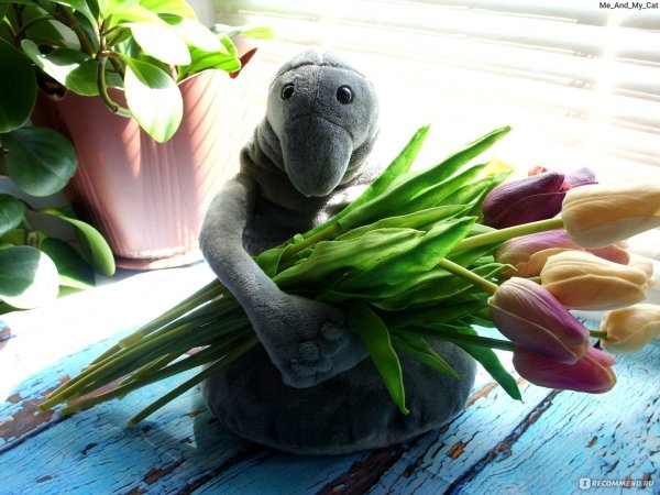 Ждун с цветами