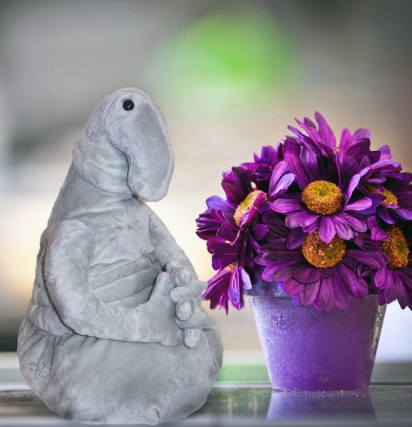 Ждун с цветочком