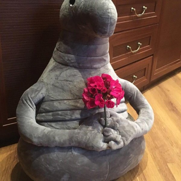 Ждун с цветами