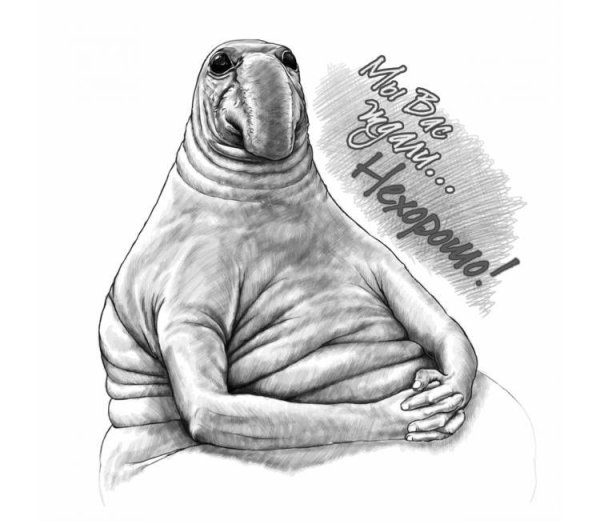 Ждун и ждунчик