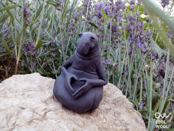 Ждун невеста