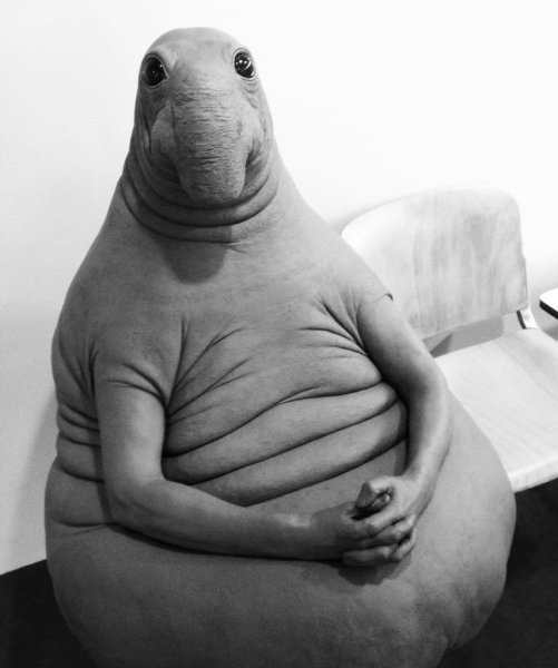 Ждун Мона Лиза