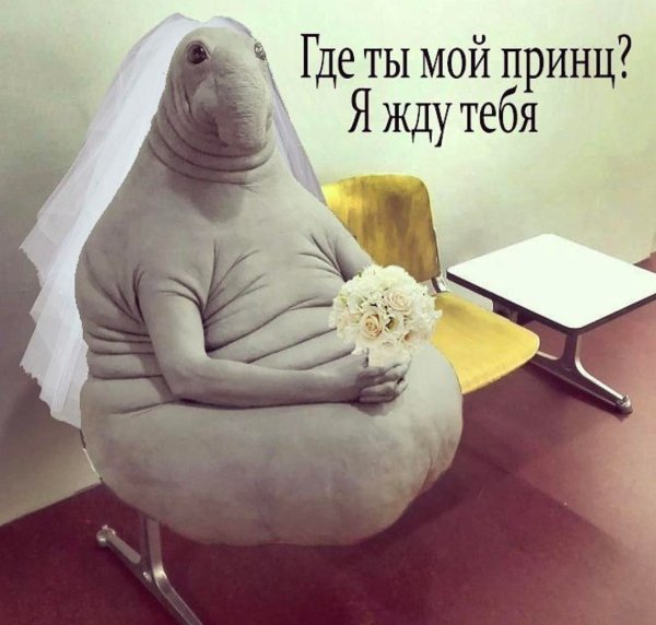 Кресло Ждун