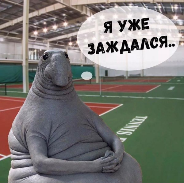 Ждун с цветами