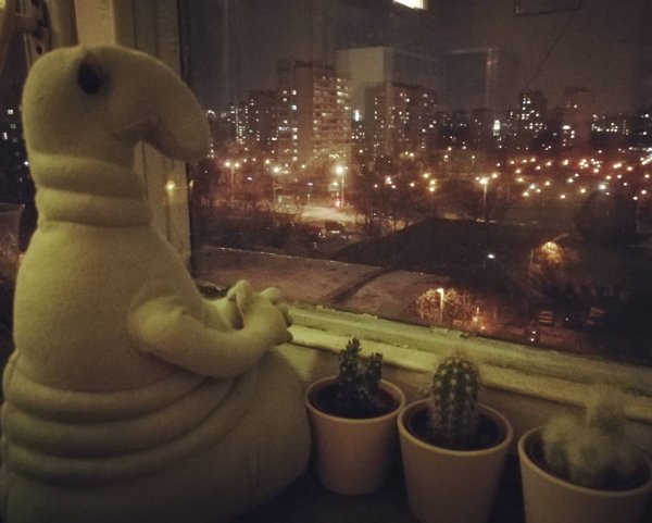 Ждун девочка