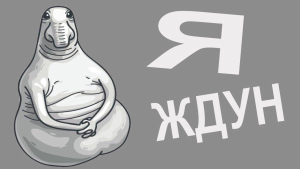 Ждун МК Елены Аверкиевой