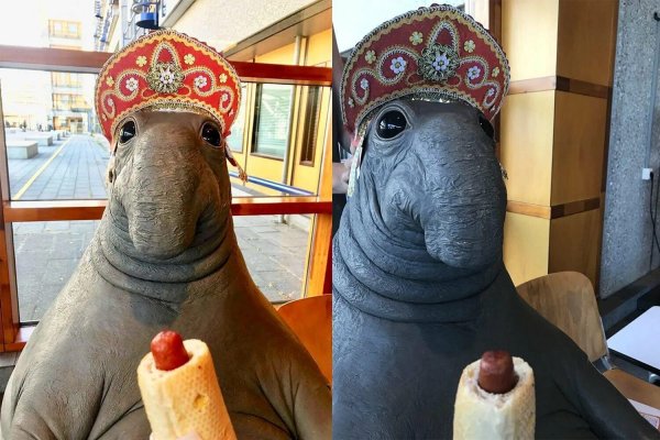 Ждун и ждунчик