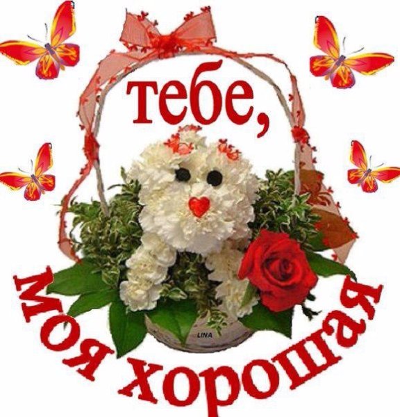 Цветы для Вали