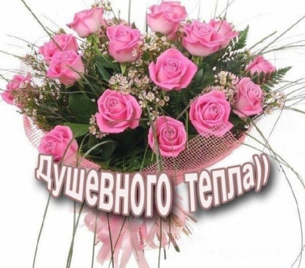 Здоровья и всех благ