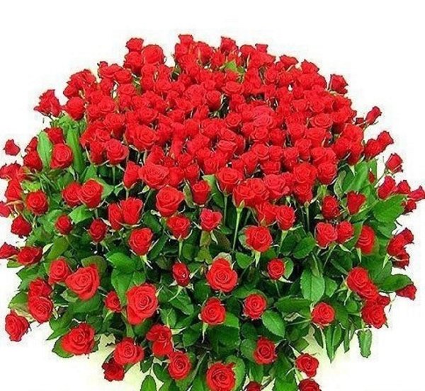 Цветы для Валюши