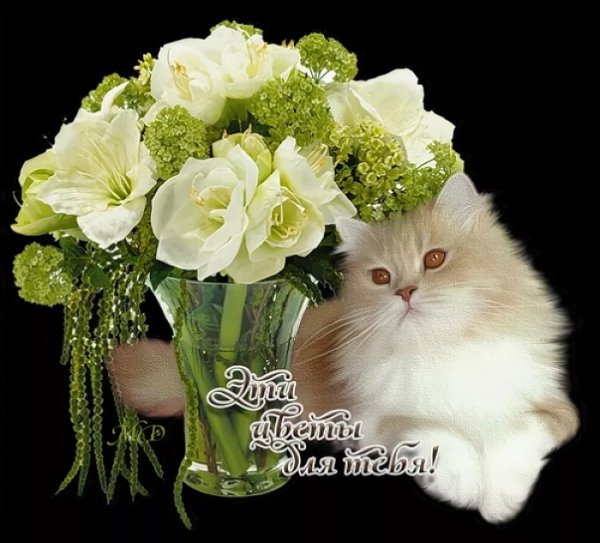 Шикарный букет для Наташи