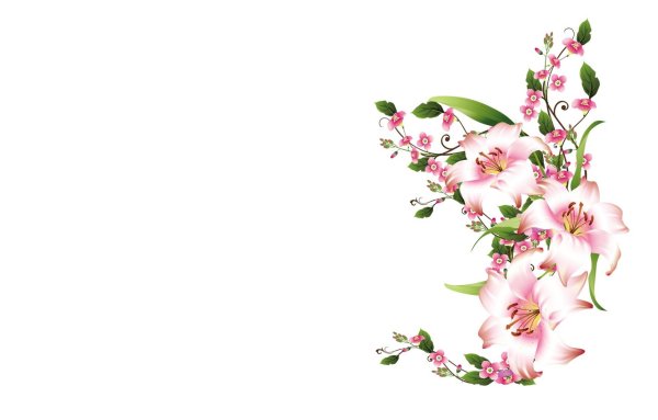 Красивый фон цветы