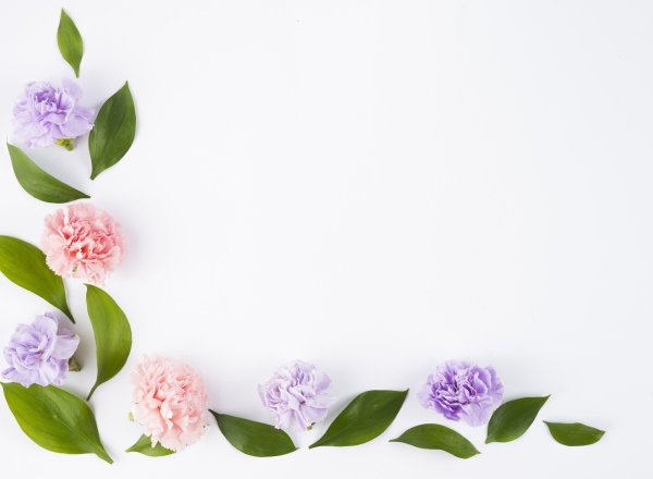 Фон с цветами по краям