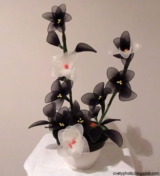 Шедевры из капрона