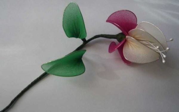 Орхидея из капроновых колготок