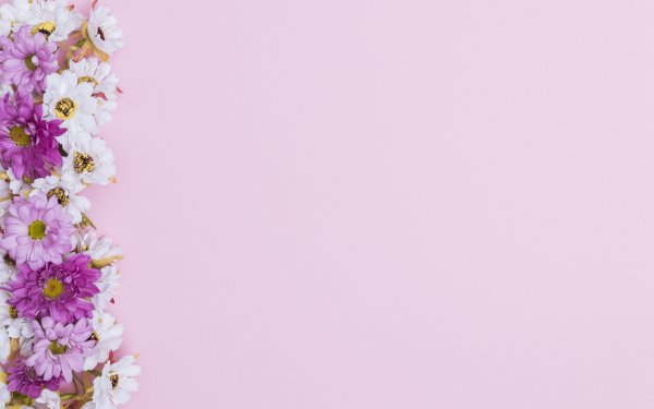 Цветочный фон для презентации