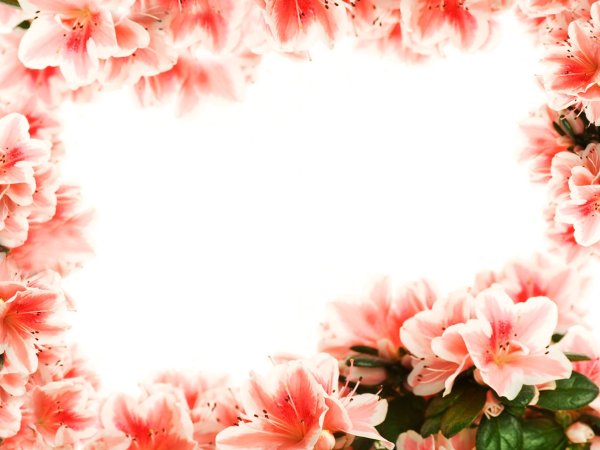 Рамка из цветов