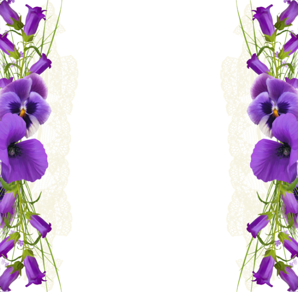 Рамка сиреневые цветы