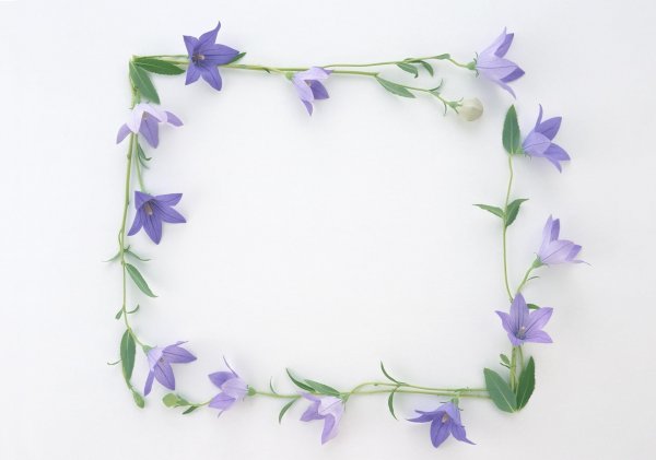 Рамки с цветами колокольчиками