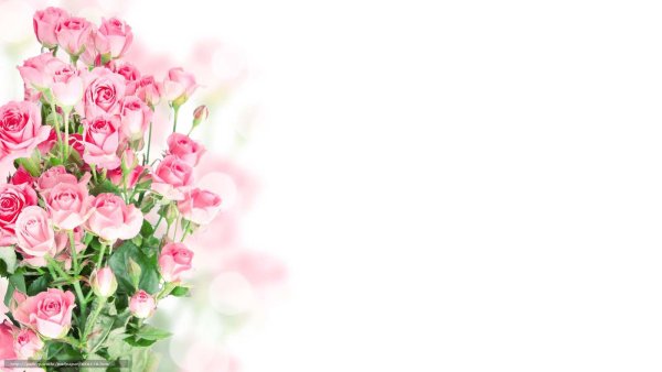 Фон с цветами для открытки