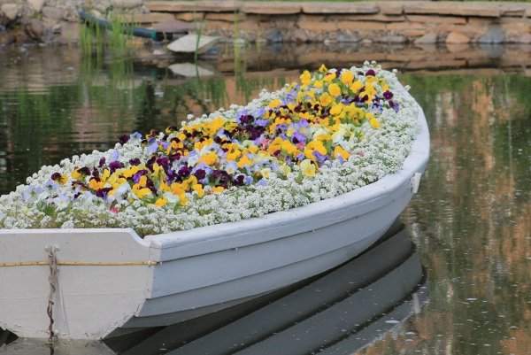 Лодка с цветами клумба