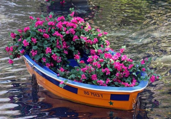 Плавающая клумба