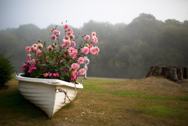 Лодка с цветами доброе утро