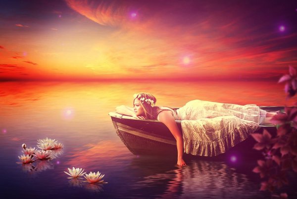 Фантхиет Вьетнам озеро лотосов