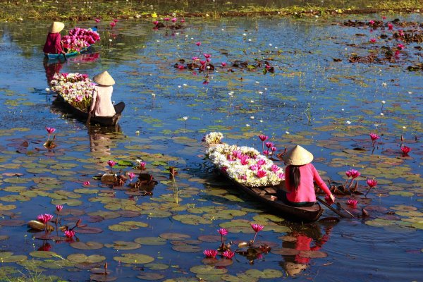 Лето река лодка