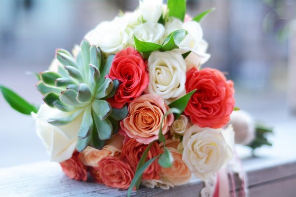 Фрезия с хризантемами