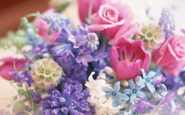 Ранункулюсы и тюльпаны букет