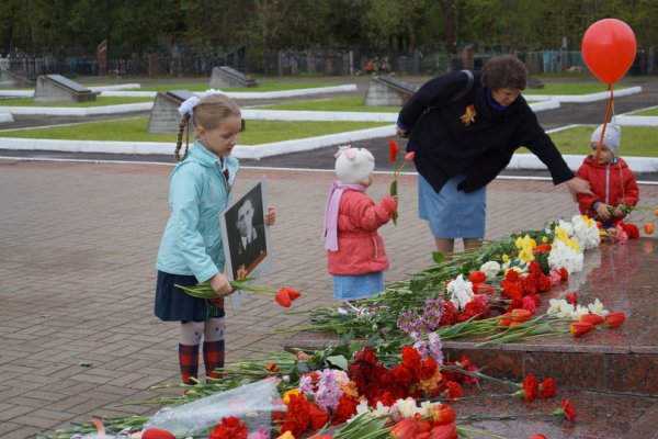 Цветы павшим