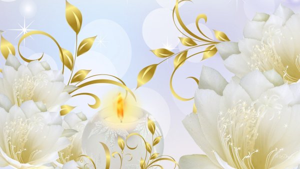 Свадебные кольца и цветы
