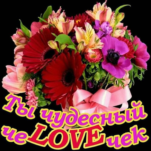 Цветы для любимой девушки
