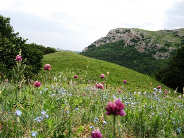 Горные Луга Крыма