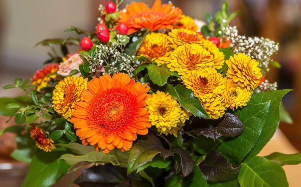 Ариэль Бюто цветы осени