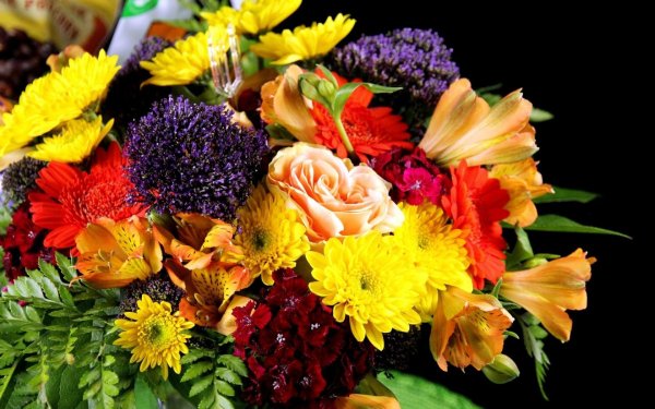 Сентябрьские цветы