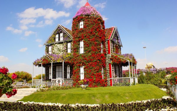 Дом в цветах