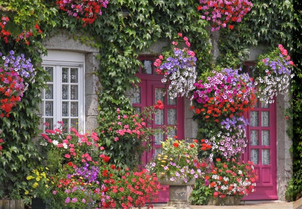 Домик в цветах