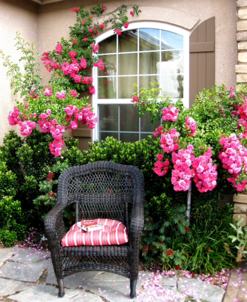 Домик в цветах