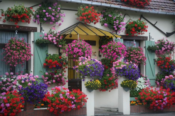 Дом украшенный цветами