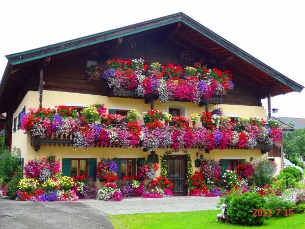 Домик в цветах