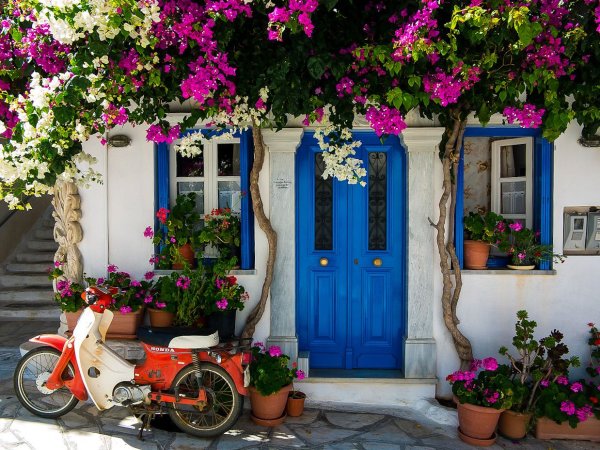 Греческий дворик в цветах