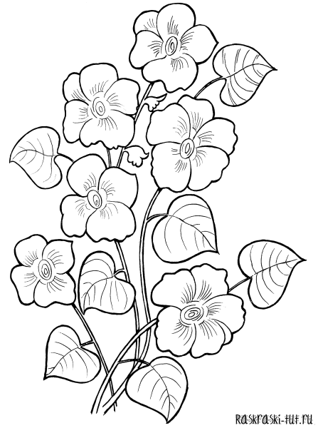 Роза раскраска