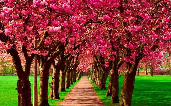 Аллея влюбленных. Испания. «Сад дьявола